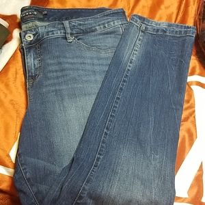 Torrid premium Jeans